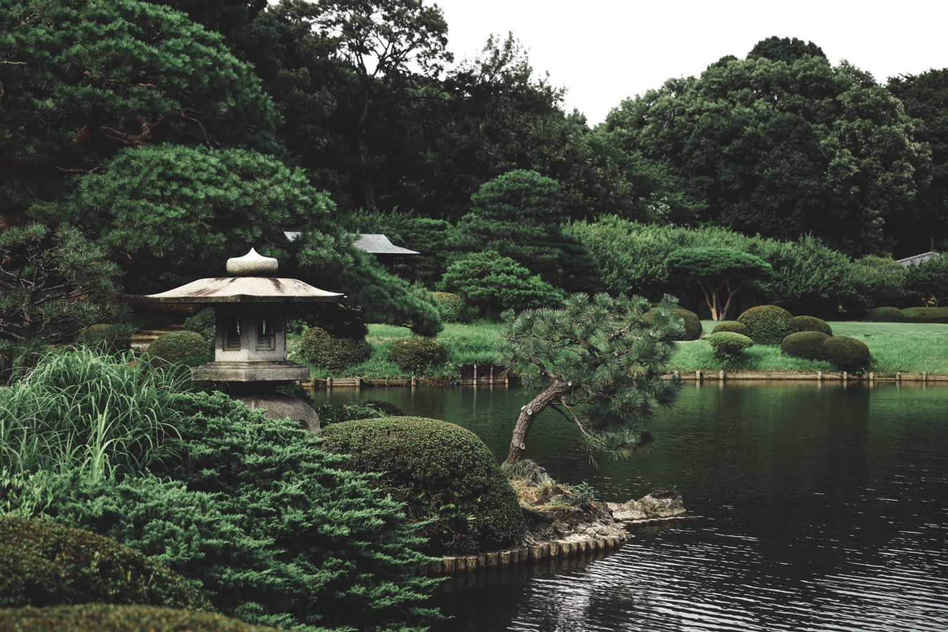 park lake and zen garden